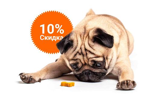 -10% на зоотовары акция в Краснодаре компании Инженер выгодно