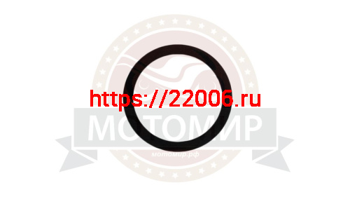 Кольцо регулировочное на вал натяжителя цепи Буран (110600187-01) Кольцо регулировочное на вал натяжителя цепи Буран (110600187-01)